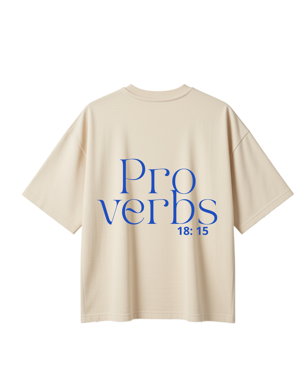 WISE Oversized T-shirt (final sale)