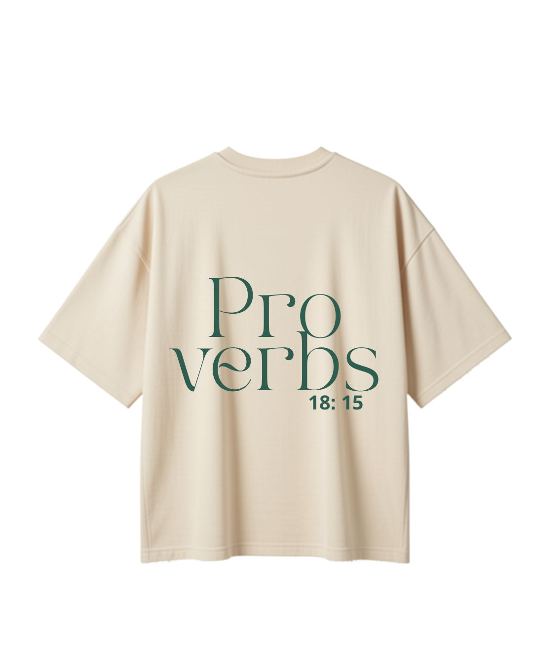 WISE Oversized T-shirt (final sale)