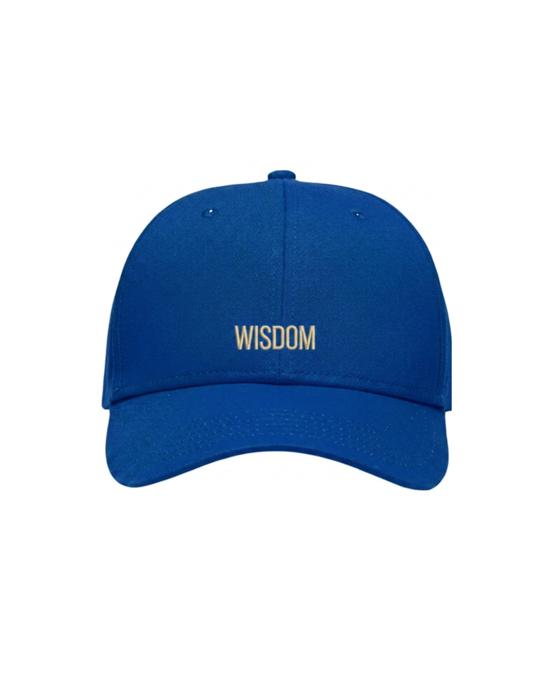 WISDOM Cap (final sale)